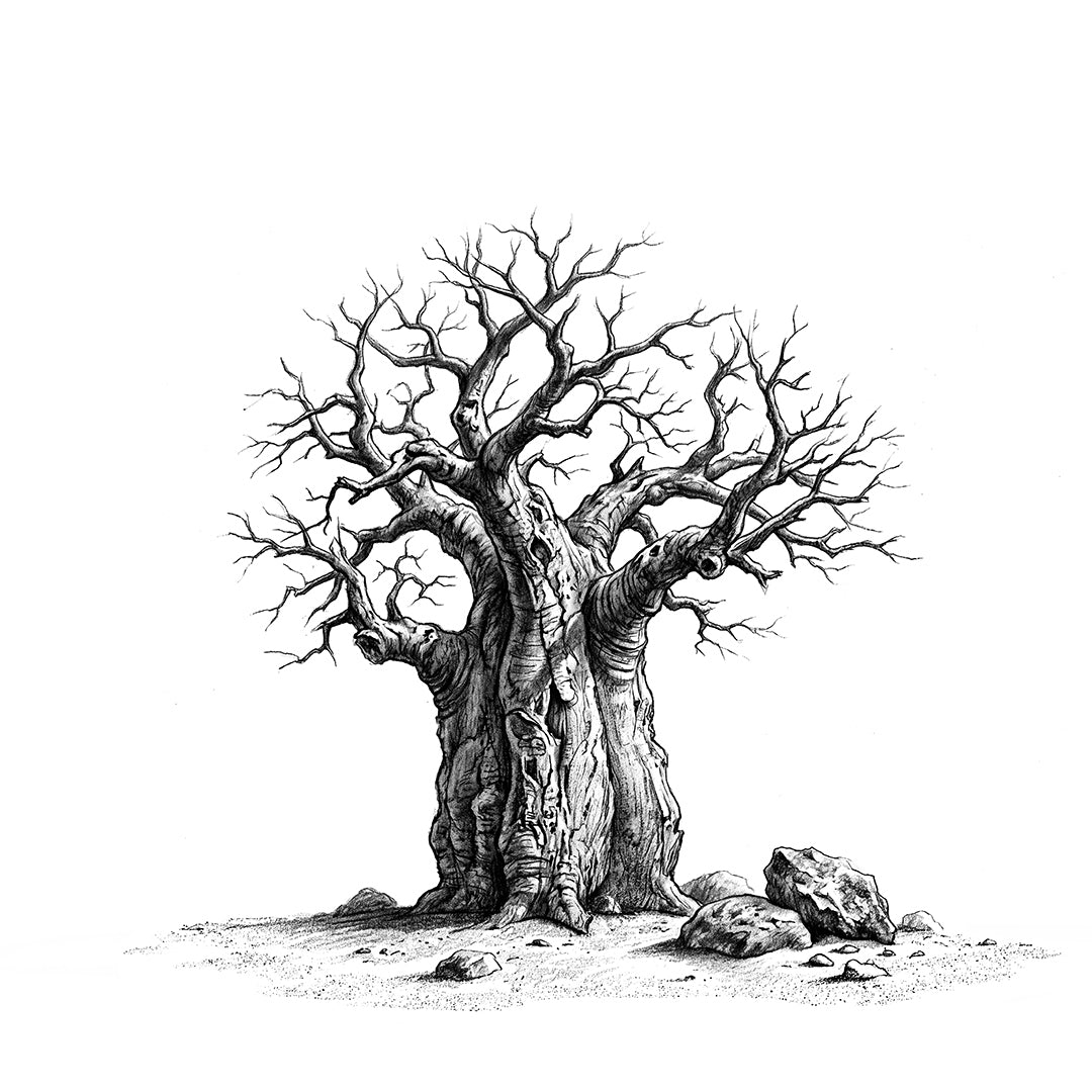 Baobab Tree 01 — Fine Art Print | Instant Digital Download
