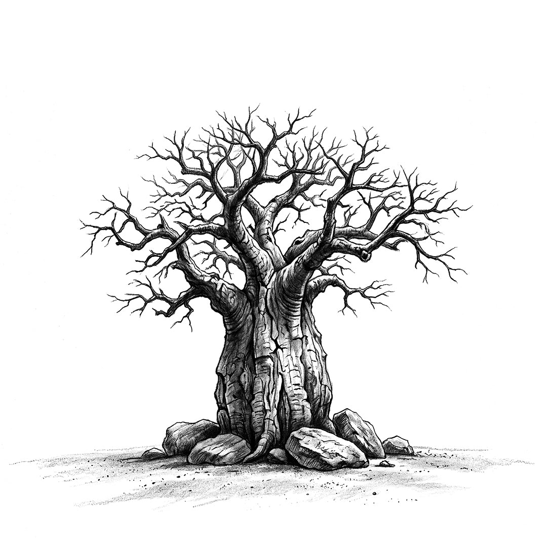 Baobab Tree 05 — Fine Art Print | Instant Digital Download